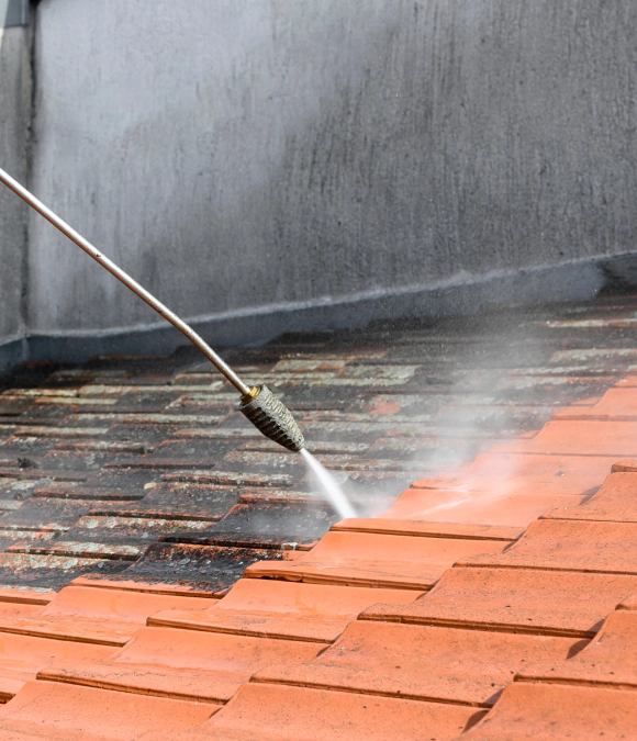 service roof and gutter cleaning