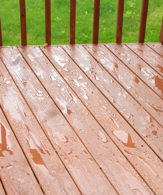 newly refinished deck